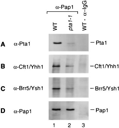 FIG. 5