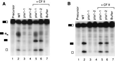 FIG. 8