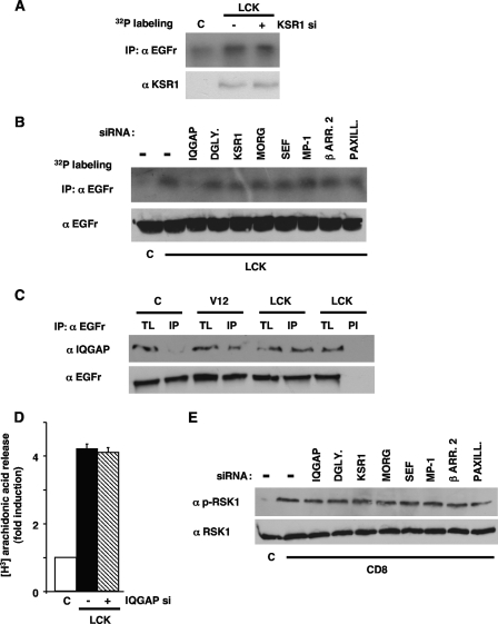 FIG. 11.