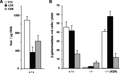 FIG. 12.