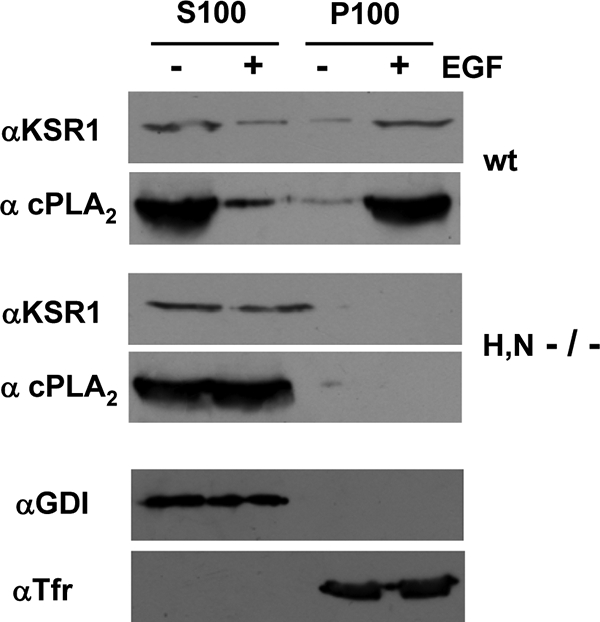 FIG. 9.