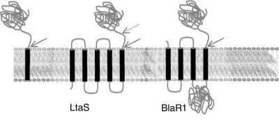 FIG. 4.