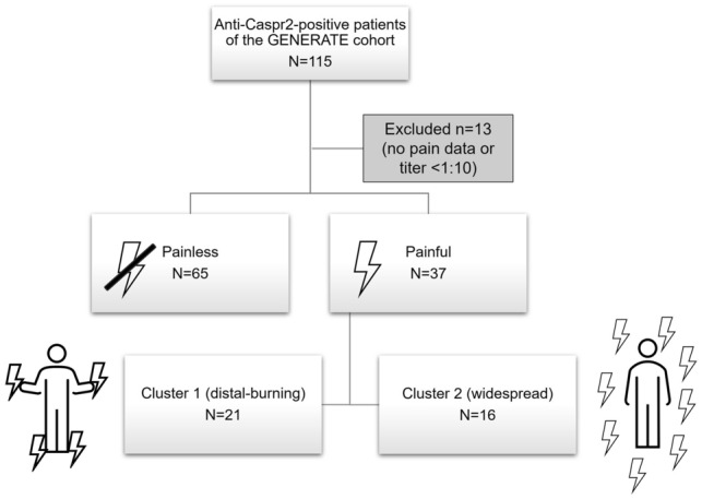 Fig. 1