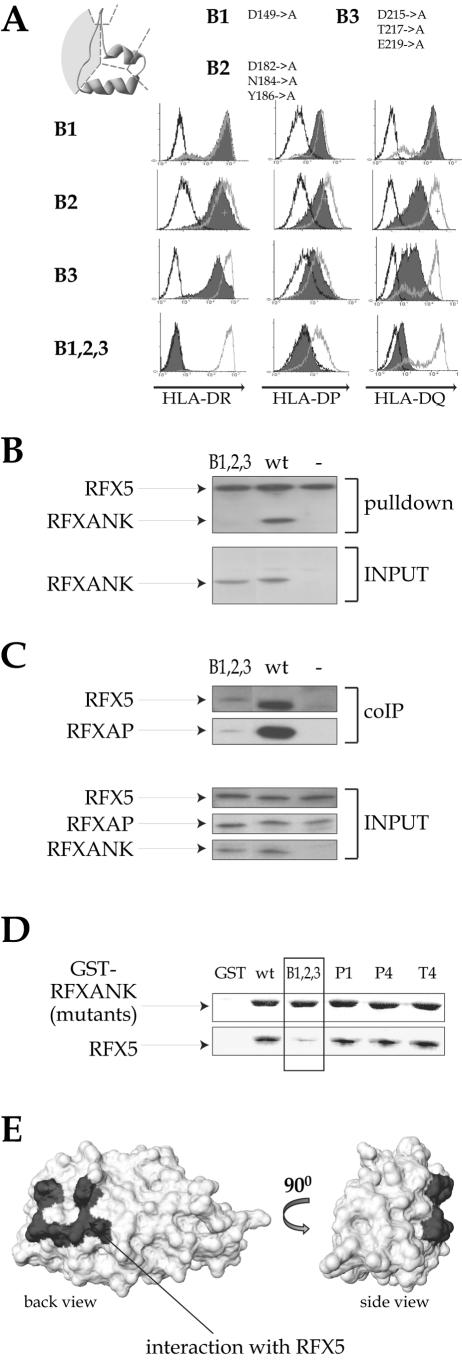 FIG.5.