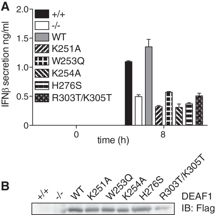 FIGURE 5.