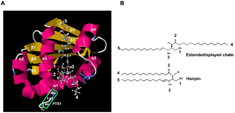 Figure 2: