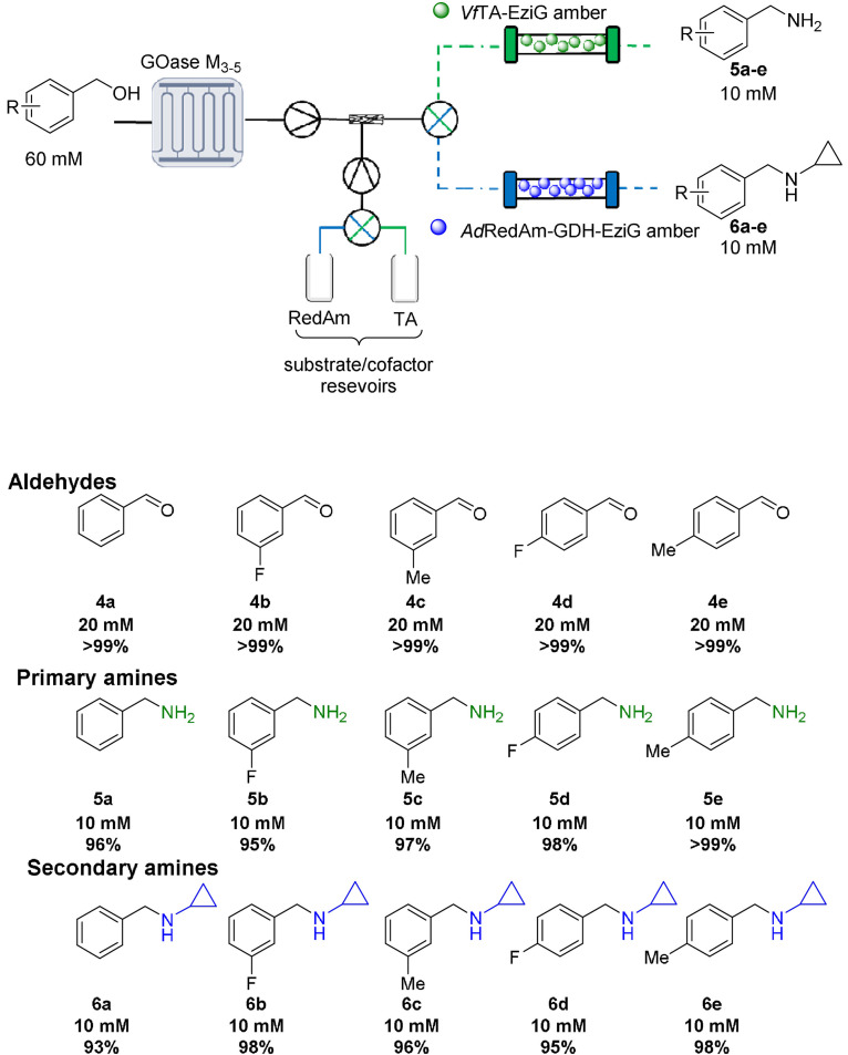 Scheme 1