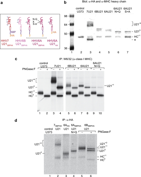 FIGURE 13.