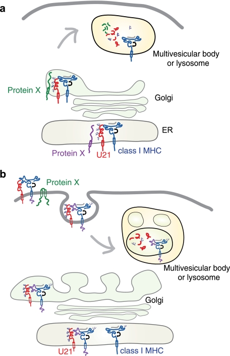 FIGURE 14.