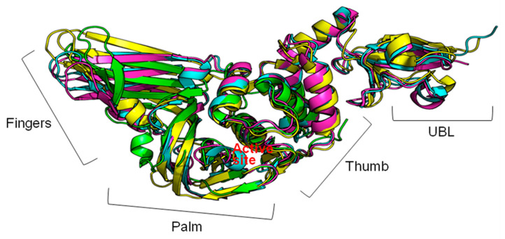 Figure 2