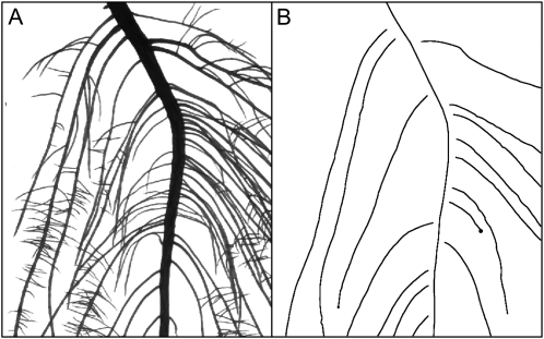 Figure 12.