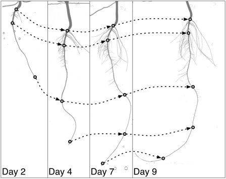 Figure 9.