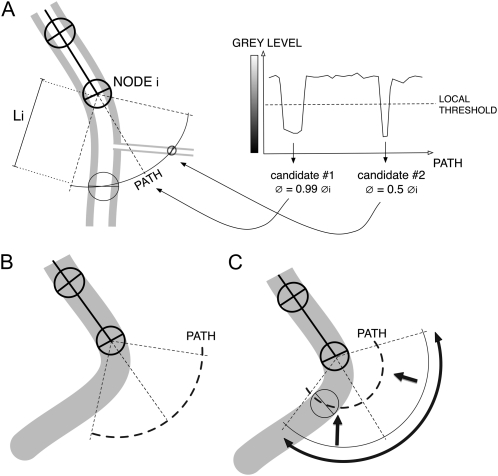 Figure 4.