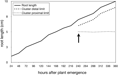 Figure 13.