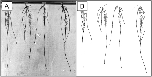 Figure 10.