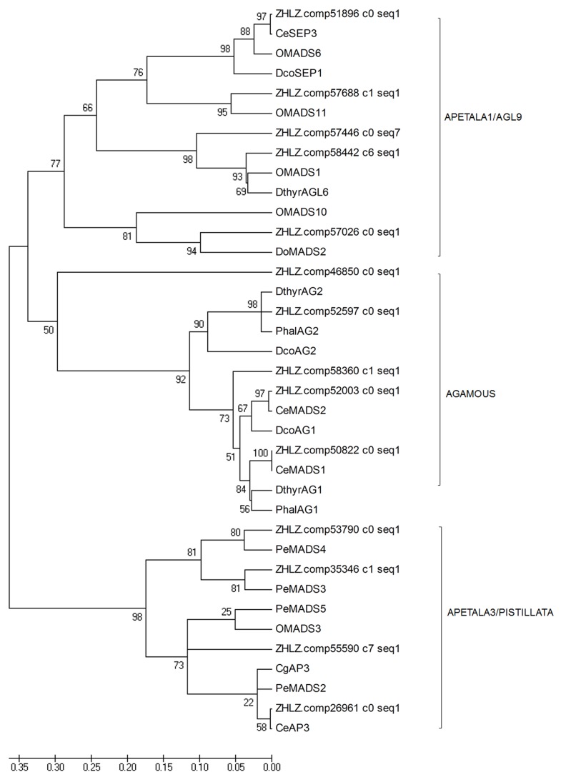 Fig 12