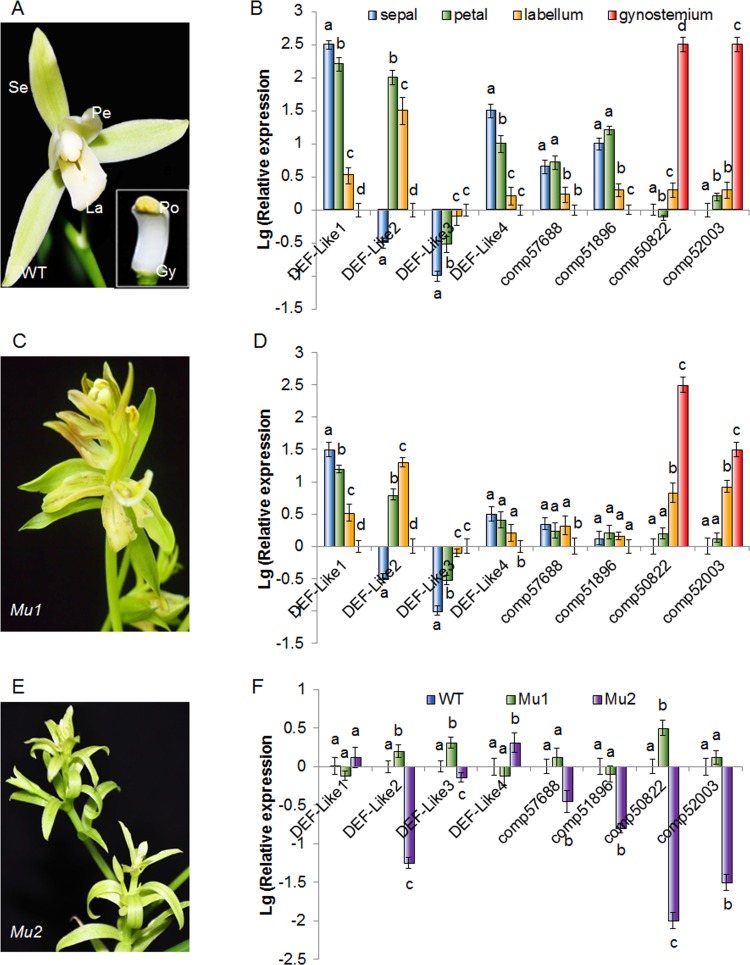 Fig 14