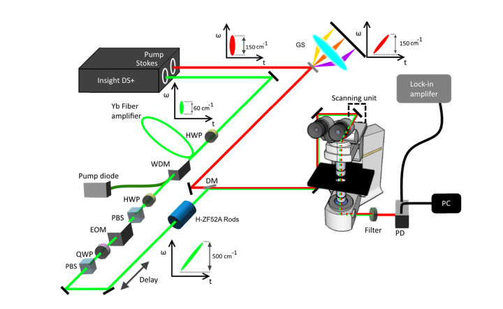 Fig. 1