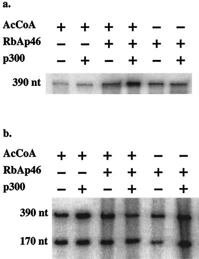 FIG. 6