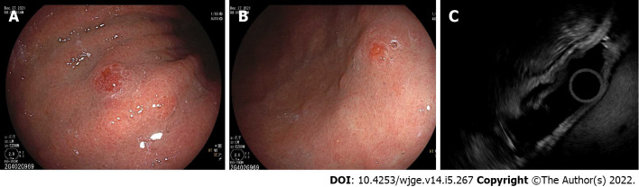 Figure 7