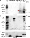 FIG 1