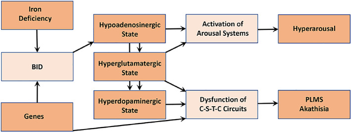 FIGURE 1