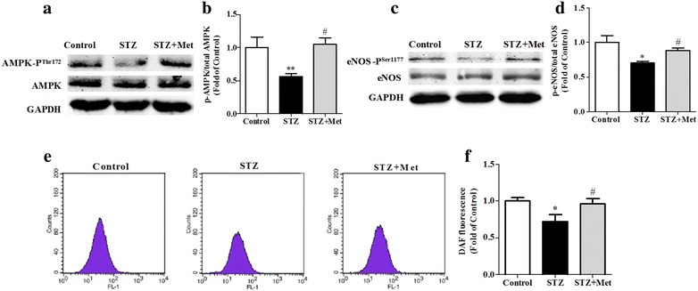 Fig. 6