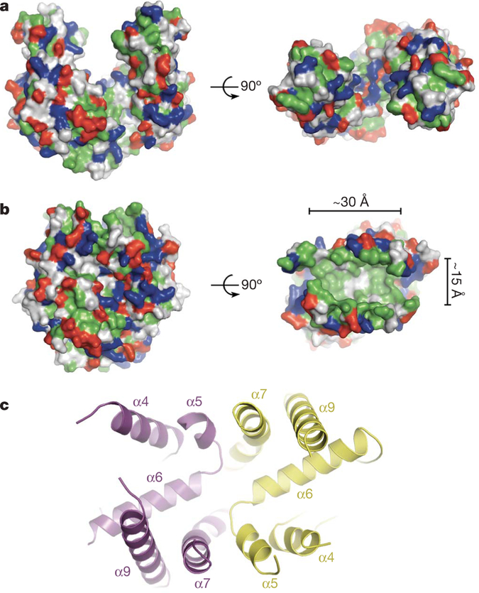 Figure 2 |