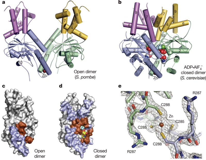 Figure 1 |