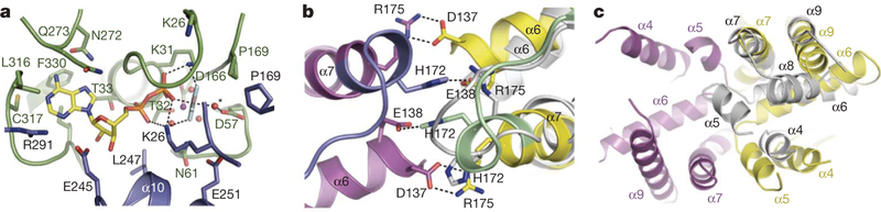 Figure 4 |