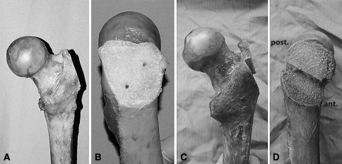 Fig. 1A–D