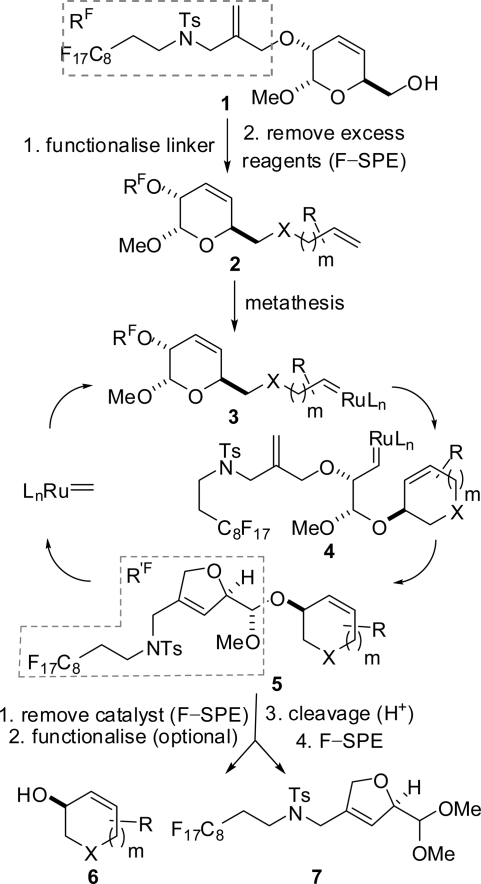 Scheme 1