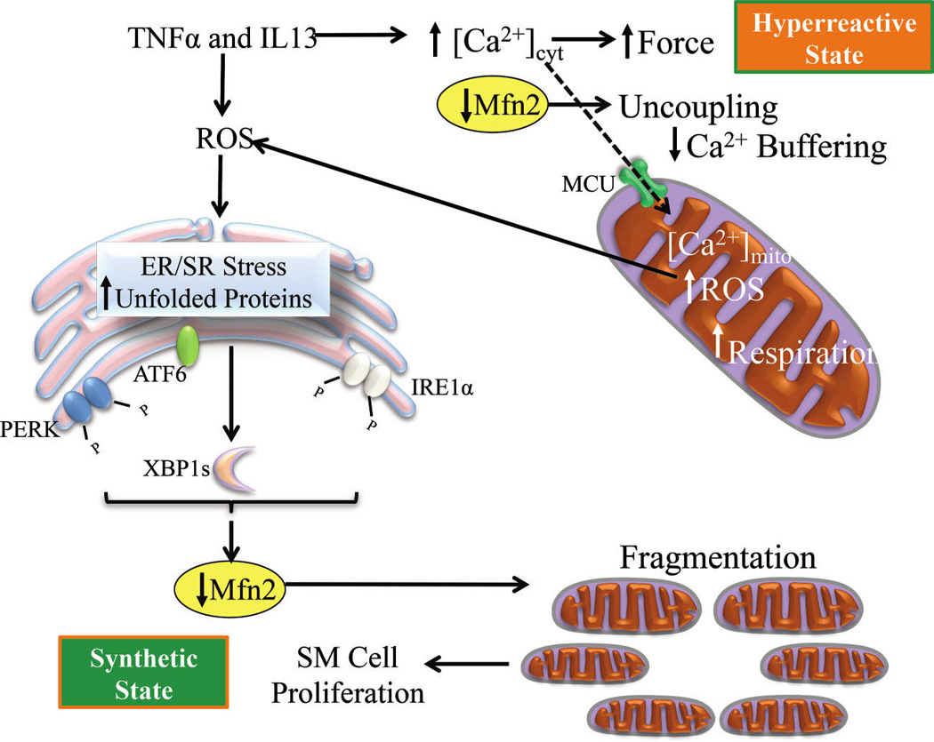 Fig. 10