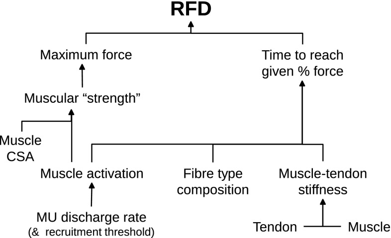 Fig. 5