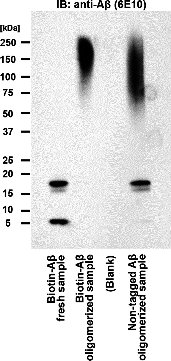 Figure S4.