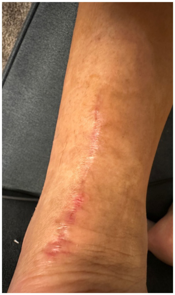 graphic file with name jetem-10-4-v5f6.jpg