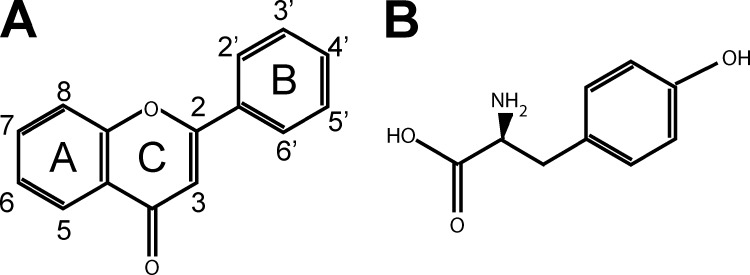 Figure 9.