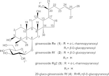 Fig. 1