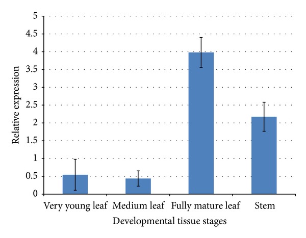 Figure 6