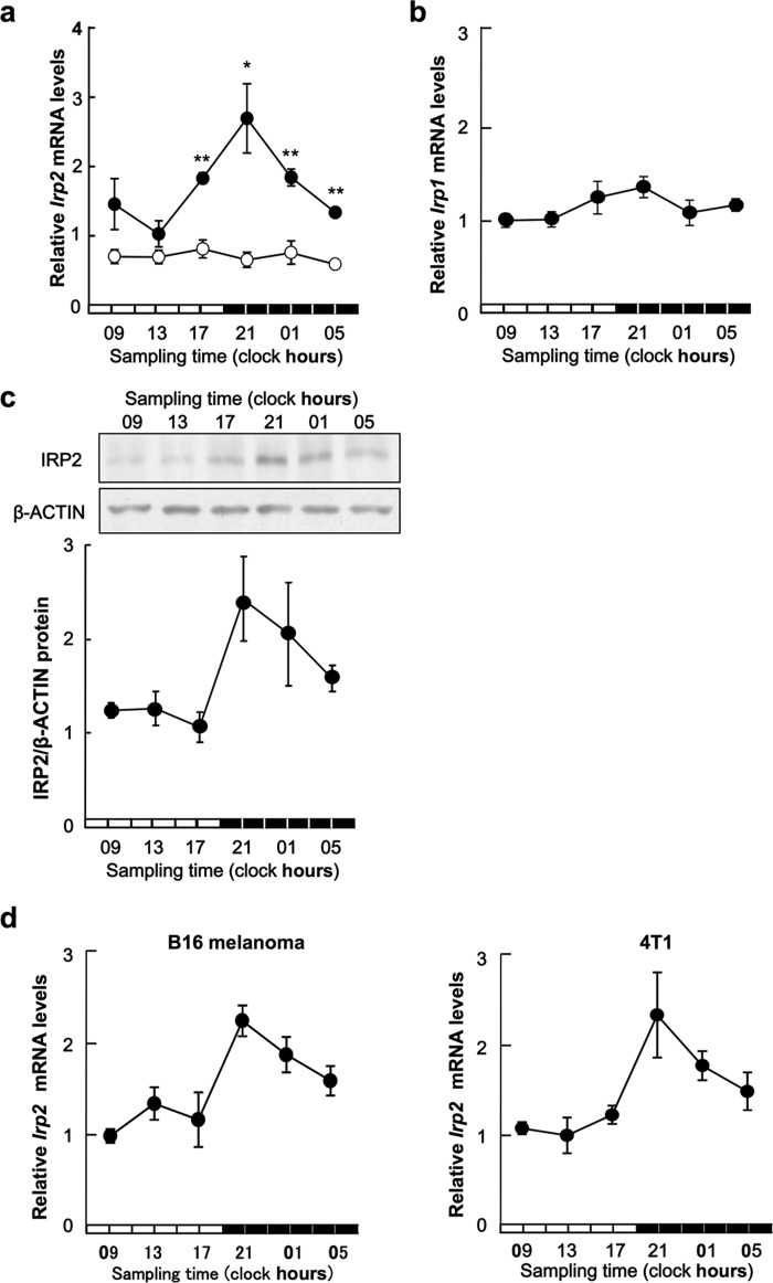 FIGURE 1.