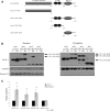 Figure 5.