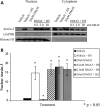 Figure 2.