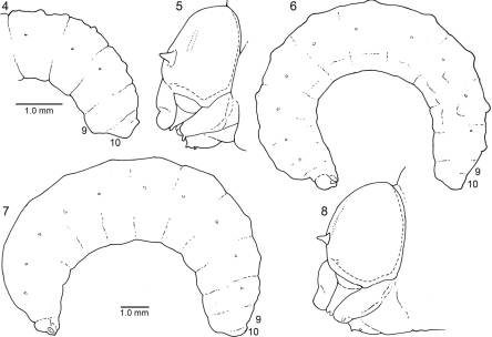 Figures 4–8.