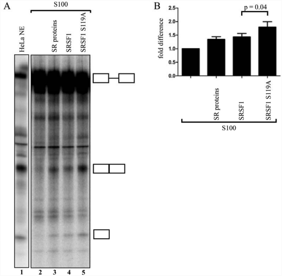 Figure 6.