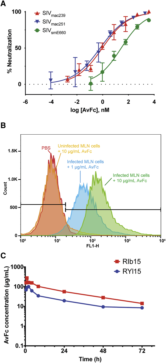 Figure 6