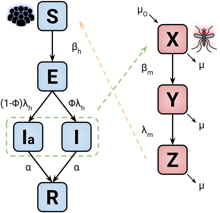 Fig 1