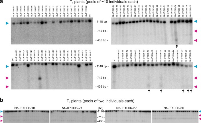 Extended Data Fig. 2