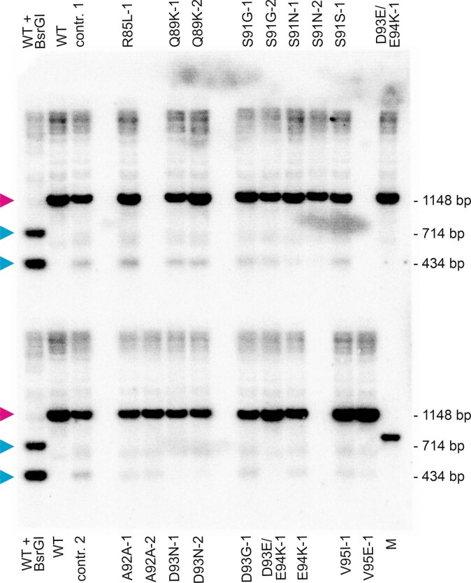 Extended Data Fig. 5