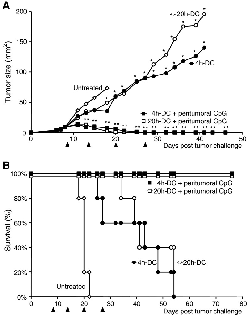 Fig. 7