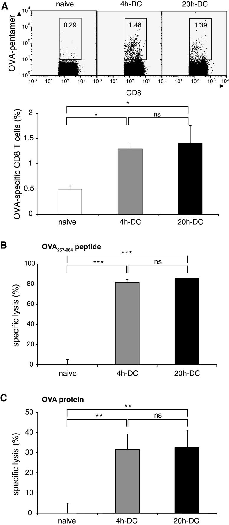 Fig. 6